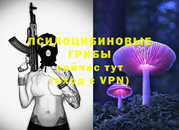 ECSTASY Белоозёрский