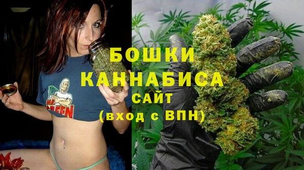 соль курить ск Белокуриха
