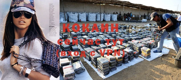 соль курить ск Белокуриха