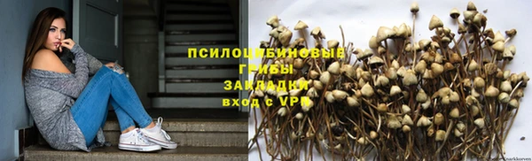 ECSTASY Белоозёрский